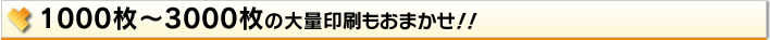 1000枚～3000枚の大量印刷もおまかせ!!